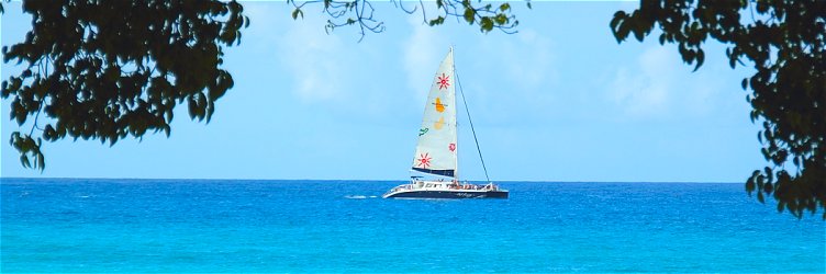 Catamaran sailing in Barbados