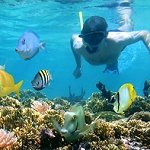 Underwater Adventures Barbados
