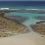 Barbados tide pools and reefs