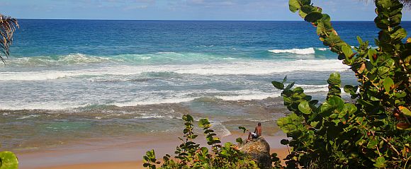 Rough waves at a Barbados beach